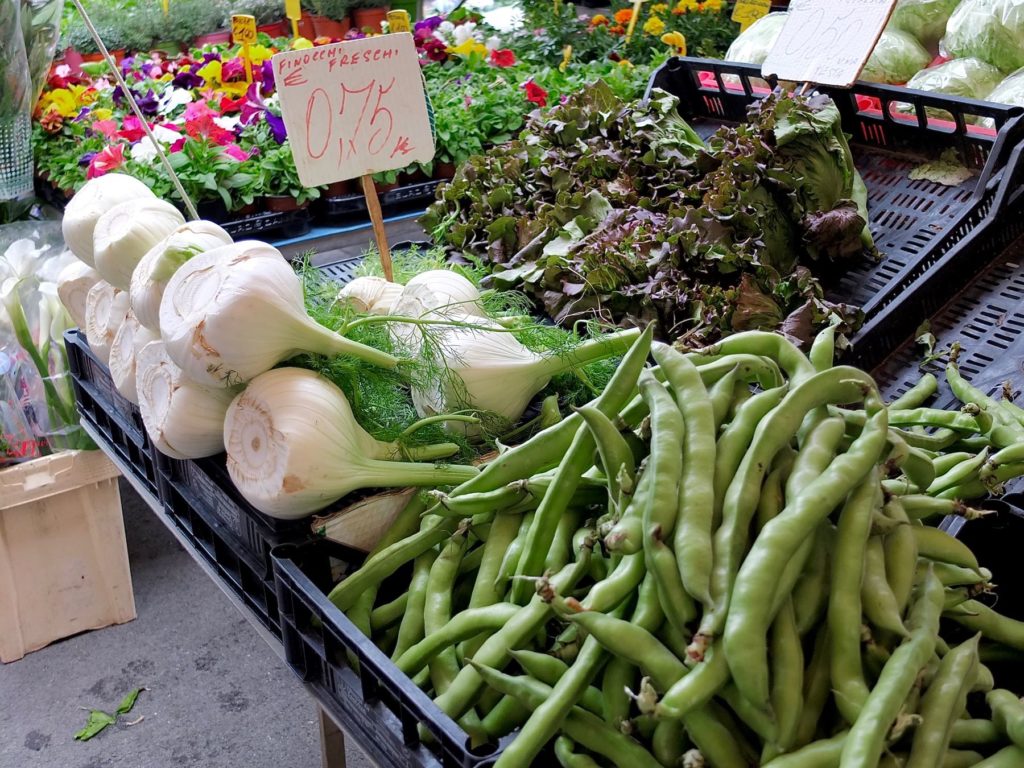 Finocchi and Fava with lettuce and flower plants in background