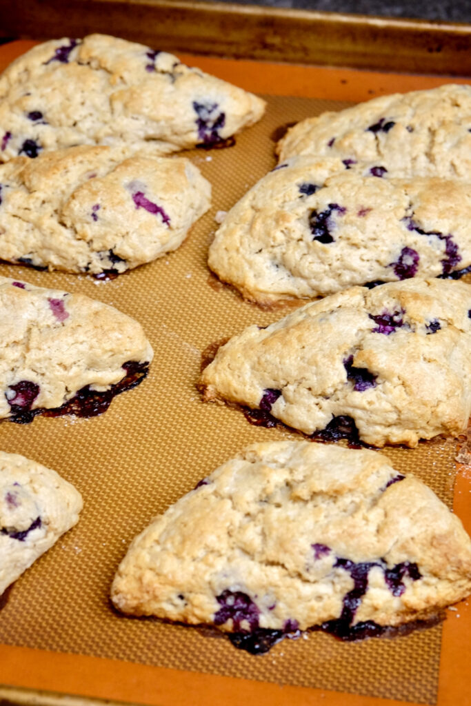 Fresh Blueberry Scones hot from the oven on a baking sheet lined with Silpat.