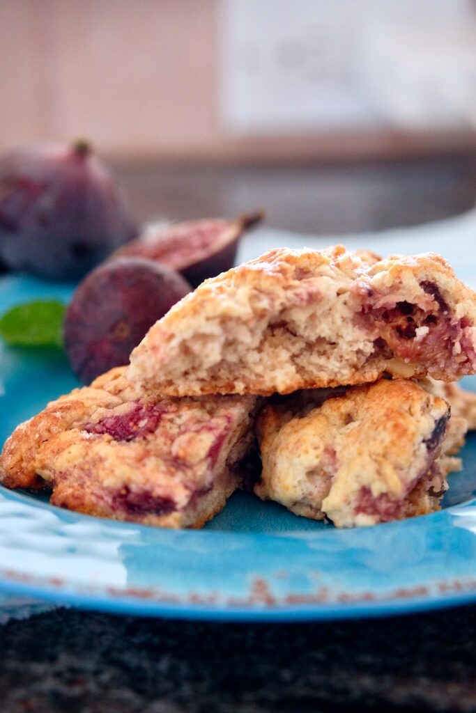 Fresh Fig Scones cut in half on blue plate with fresh figs displayed in background.